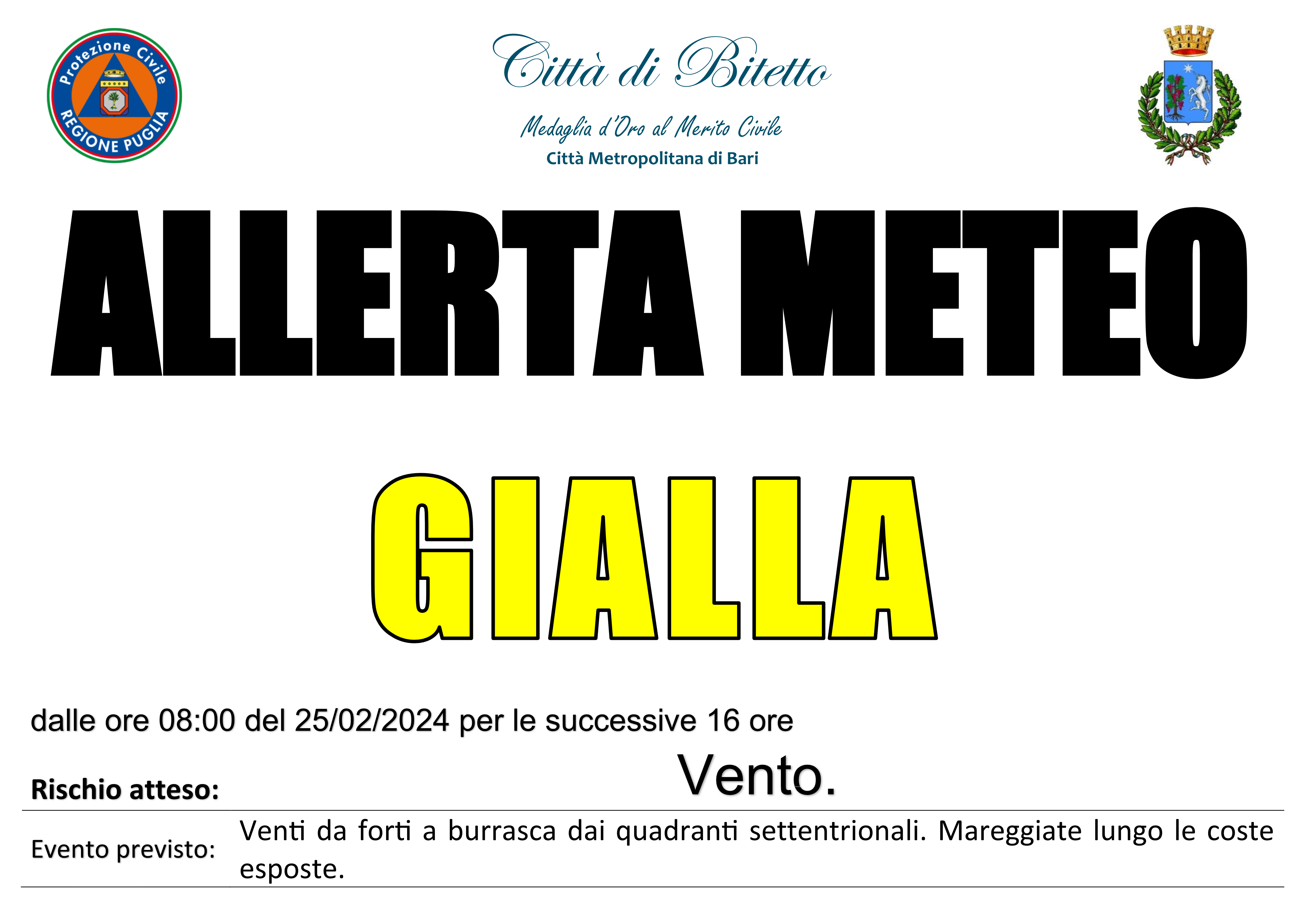 Allerta Meteo - Vento - 25/02/2024
